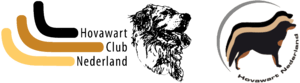 hcn-en-hvn hcn-en-hvn