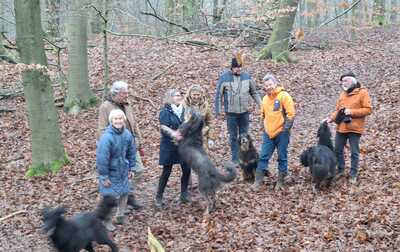 img-20250119-wa0006 img-20250119-wa0006