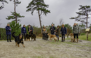 nieuwjaarswandeling-schoorl-4 nieuwjaarswandeling-schoorl-4