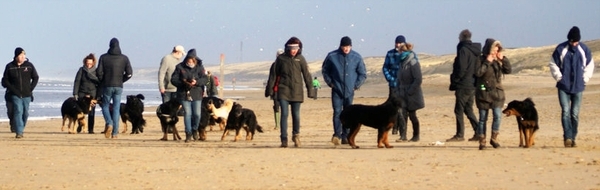 HCN Nieuwjaarswandeling HCN Nieuwjaarswandeling